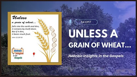 John 12v20-50 - Unless a Grain of Wheat... - HIG S4 Ep17