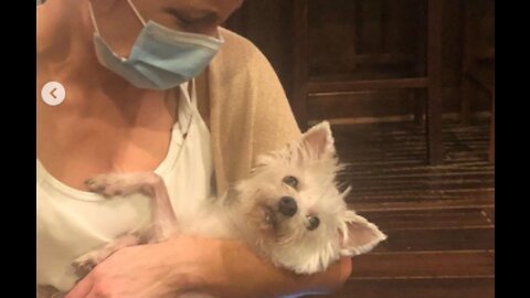 'She fought so hard': Kate Beckinsale 'heartbroken' after her dog dies