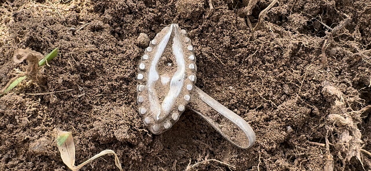 Massive Silver Ring Metal Detecting