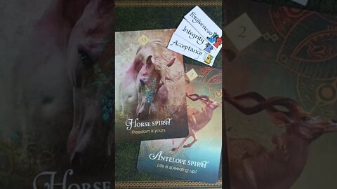 Pisces ♓ Love Reading 22nd - 28th August 2022 #lovetarot #loveoracle #lovereading