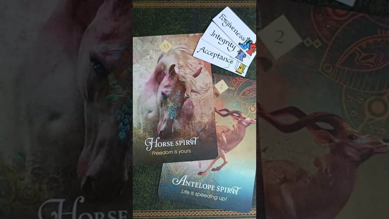 Pisces ♓ Love Reading 22nd - 28th August 2022 #lovetarot #loveoracle #lovereading