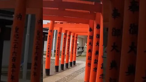 Sanctuary 800 years of history just steps from Shibuya Station #shorts