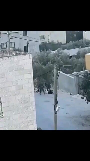 Israeli soldiers assaulted a Palestinian child whilst they raided Beit Furik village, east of Nablus