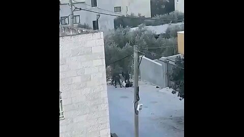 Israeli soldiers assaulted a Palestinian child whilst they raided Beit Furik village, east of Nablus