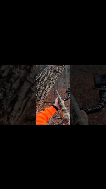 Putting Food on the Table