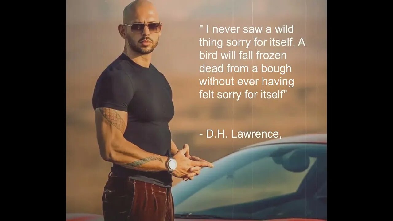 Never feel sorry for yourself - Tate