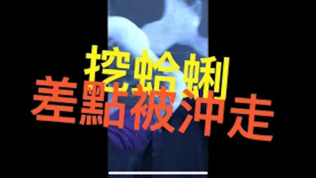 美國挖蚌 | 挖蛤蜊Vlog挑戰高難度沙灘差點被沖走？！原來大隻的都在這！Washington Clam Digging at Copalis Beach