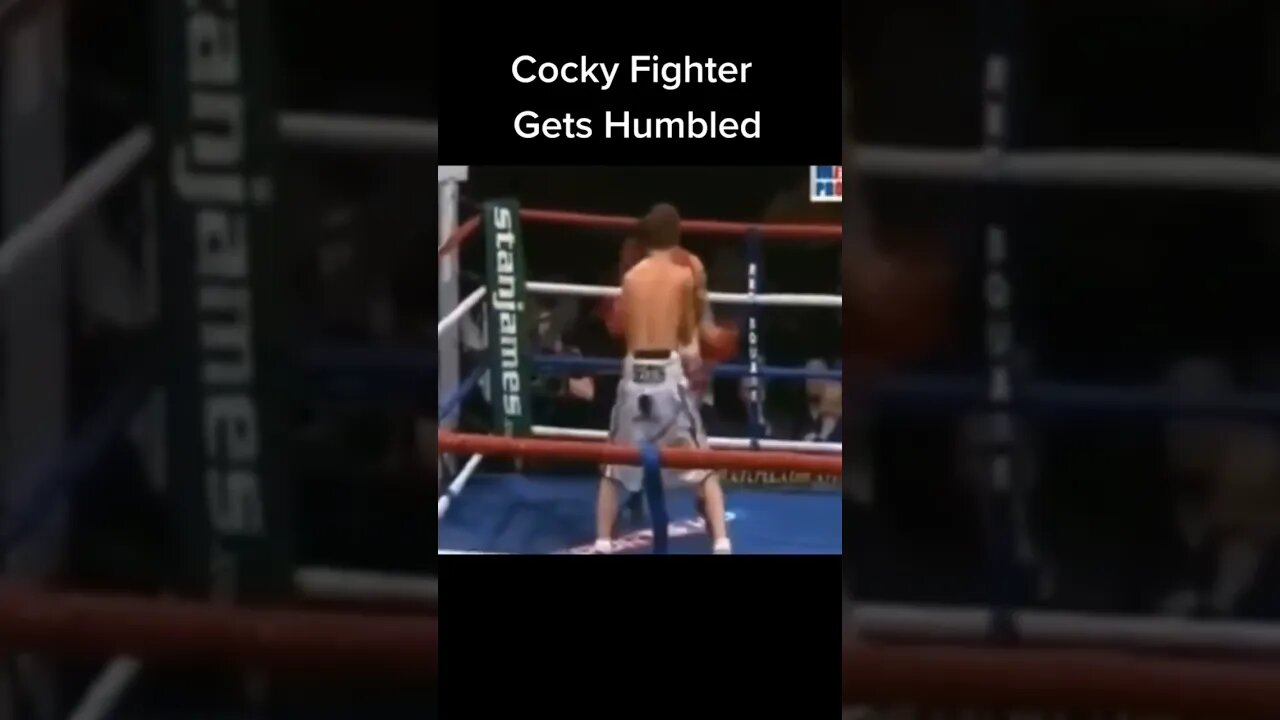 Cocky Fighter Gets Knocked OUT!