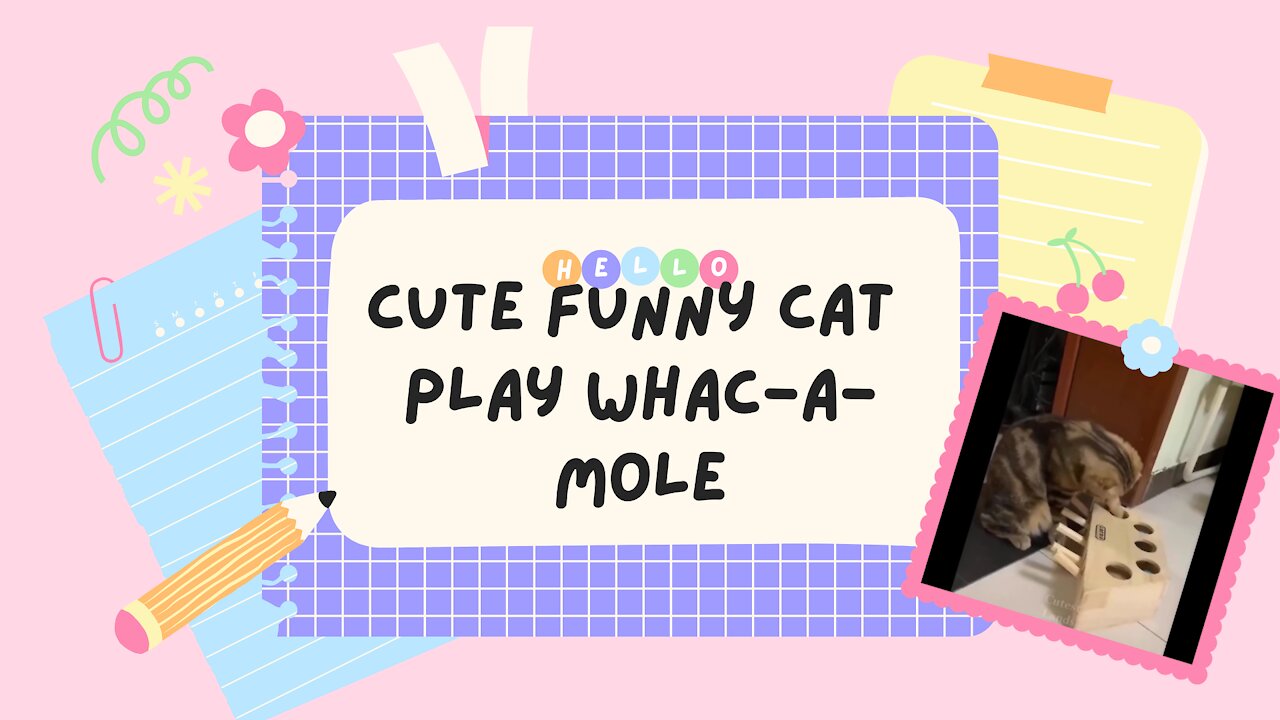 Cut Funny Cat play Whac- A-Mole