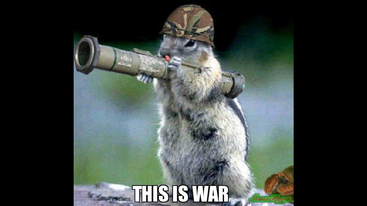 Do they want a war?