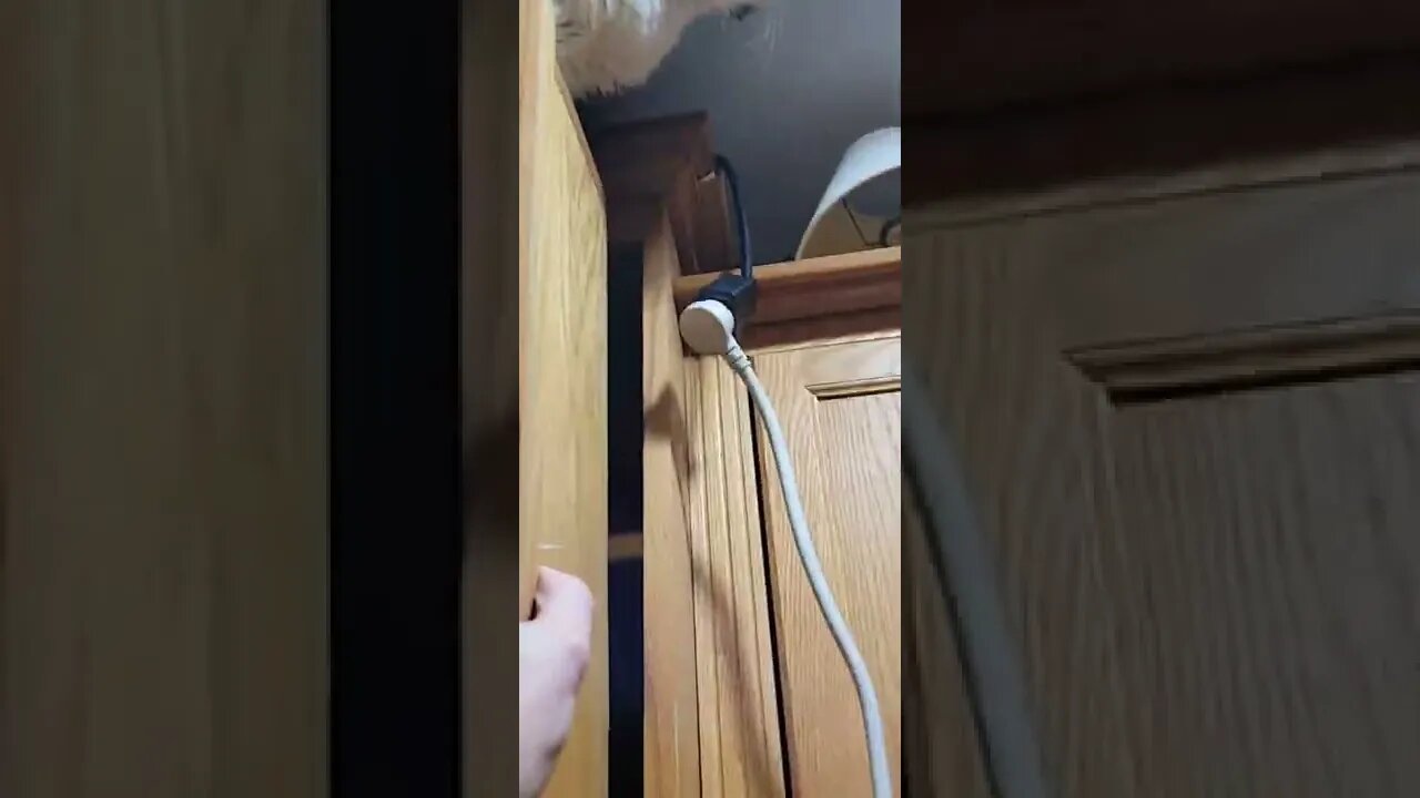 This cat bro...