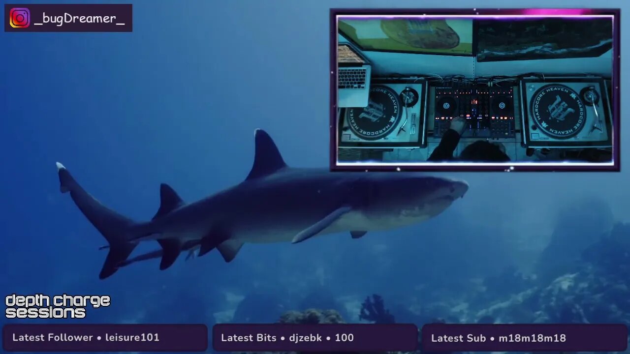 DCS 88