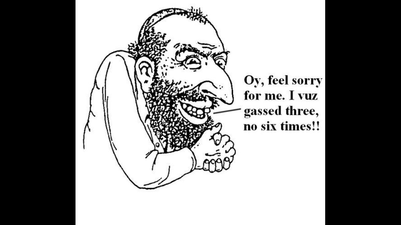 Its only the dumbed down Goyim who still believe the Holocaust happened.mp4