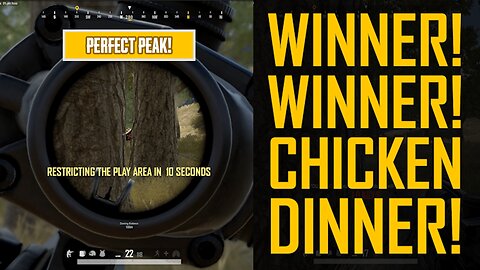 Perfect Peak! - PUBG BATTLE ROYALE