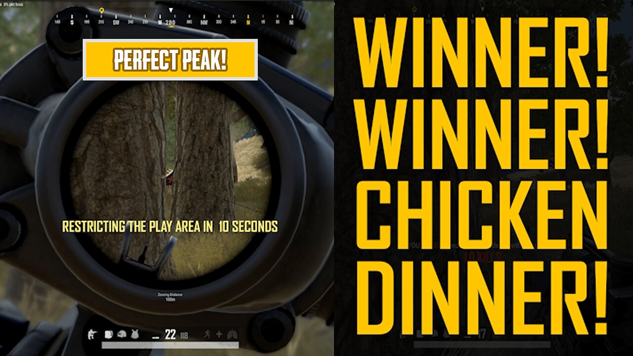 Perfect Peak! - PUBG BATTLE ROYALE