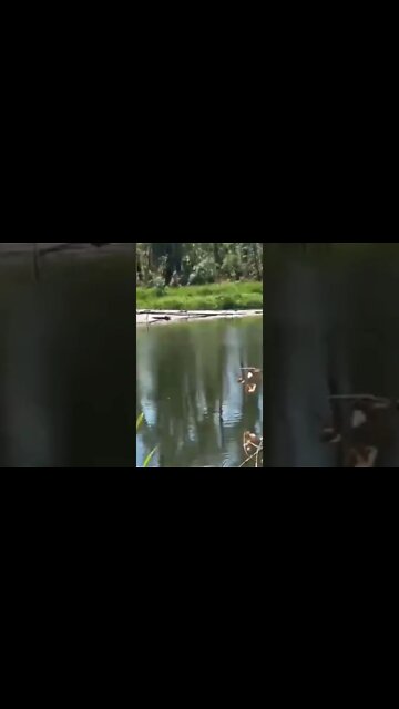 Reports say Ukrainian failed river crossing