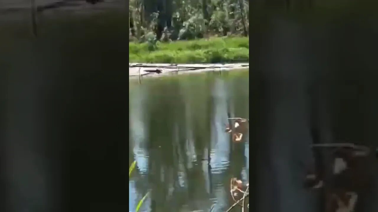 Reports say Ukrainian failed river crossing