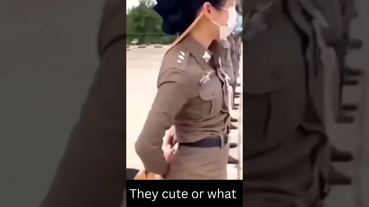 Funny Dogs And Cats Videos .Best Funny Animal Videos 2023 (#6)