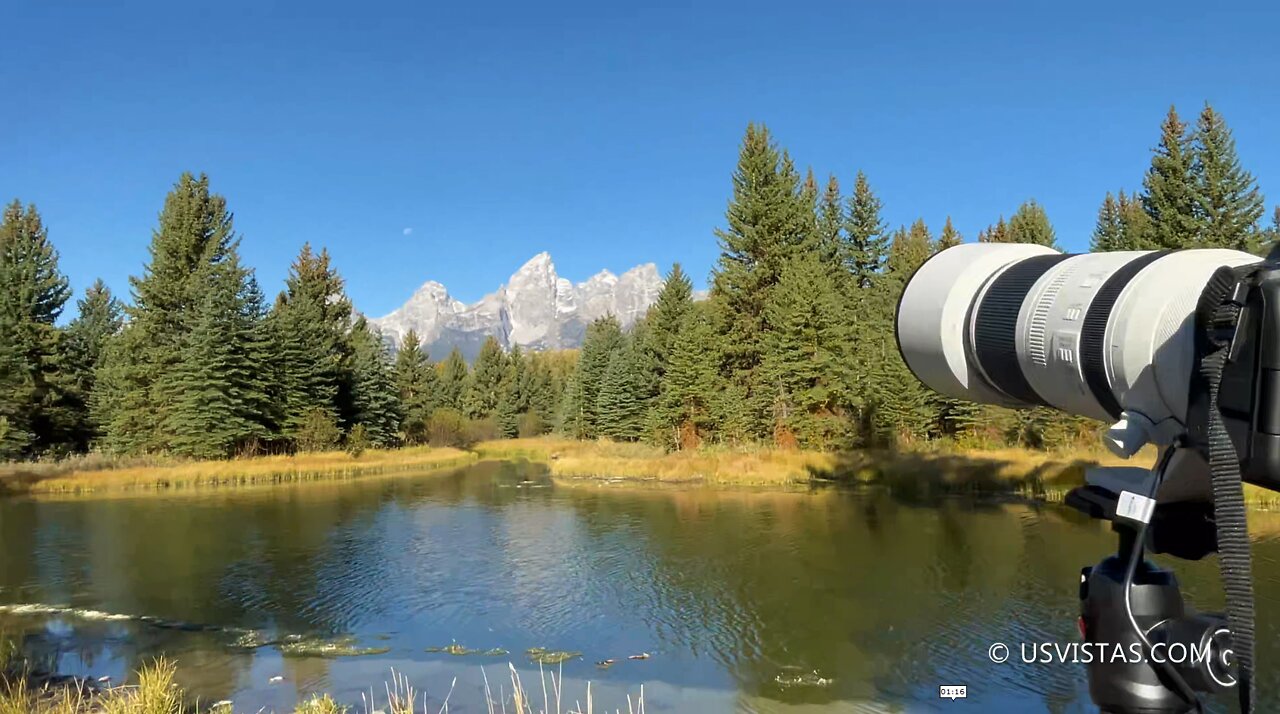 Secret Money Shot at Schwabacher Landing, WY [2021-09-20]