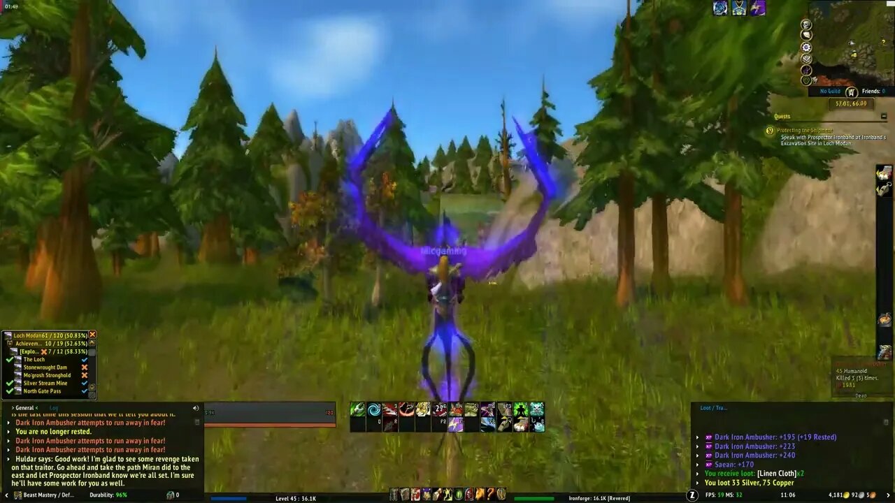 World of Warcraft Protecting the Shipment