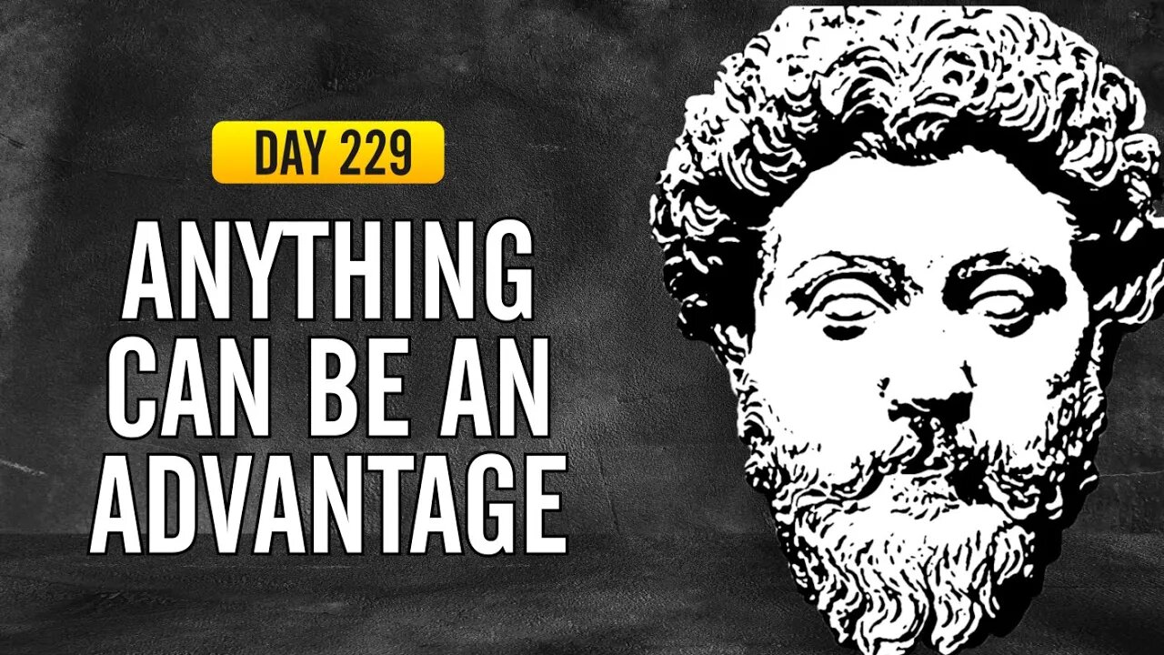 Anything Can Be an Advantage - DAY 229 - The Daily Stoic 365 Day Devotional