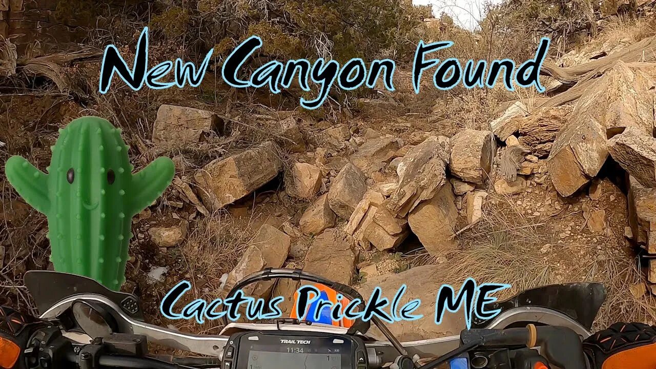 New Canyon Found - Cactus Prickle ME