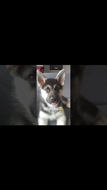 What Other People See Vs What I See