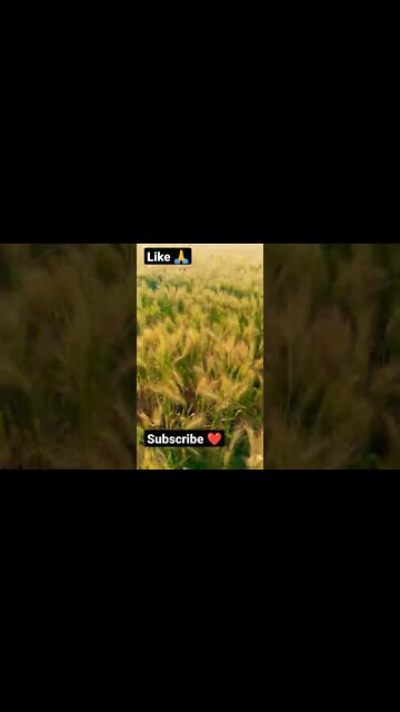 unstoppable #shorts #viral