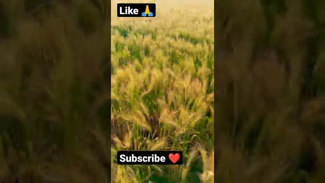 unstoppable #shorts #viral