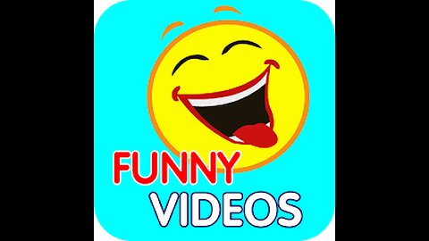 Cat laughing😂😂