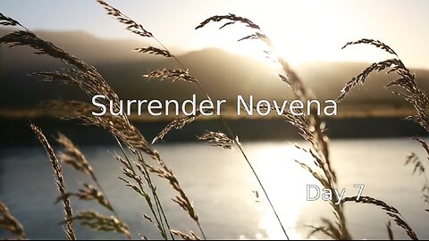 Surrender Novena - Day 7