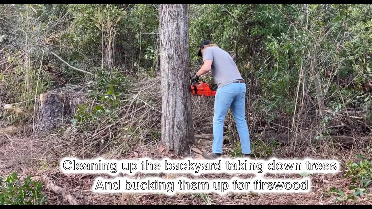 Cleaning up the backyard taking down trees And bucking them up for firewood