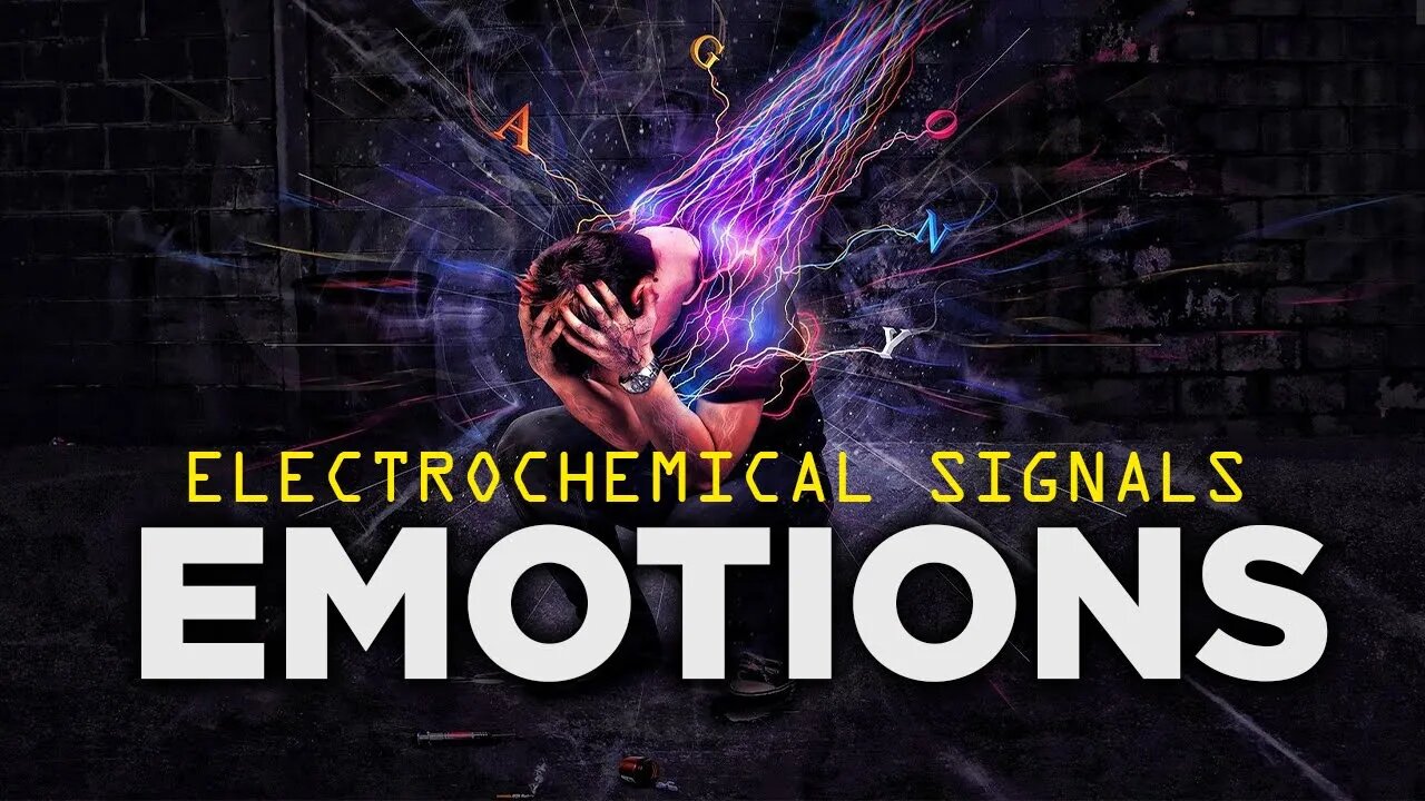 THE MOLECULES THAT SUPPORT THE REGULATION OF OUR MIND | ELECTROCHEMICAL SIGNALS | EMOTIONAL QUALITY