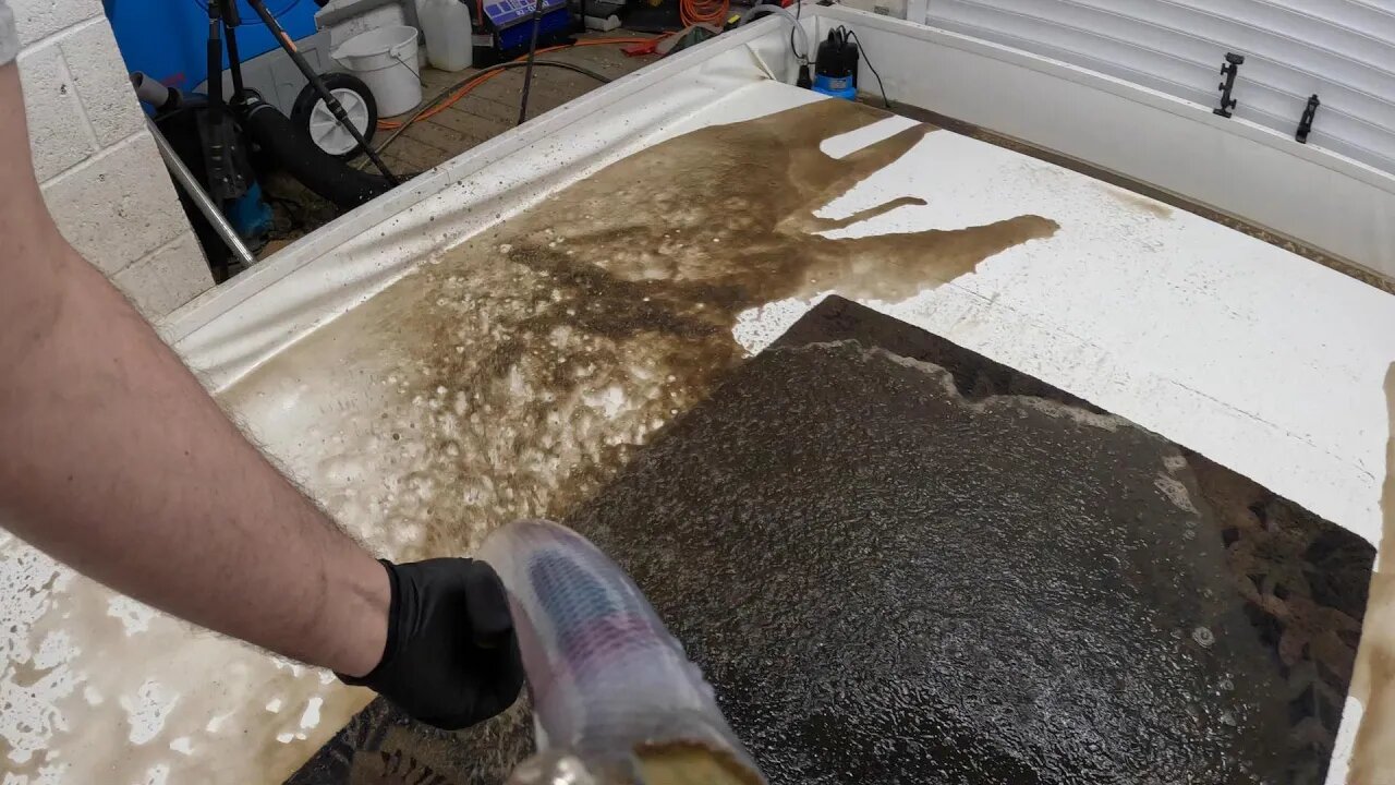 Can This Rug Removed From The Dump Be Saved ? Satisfying Carpet Cleaning