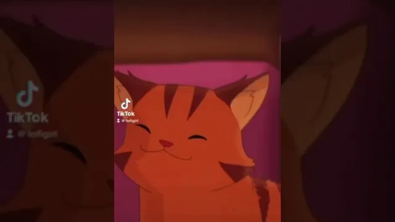 boobeeboobeebooboobeeboo