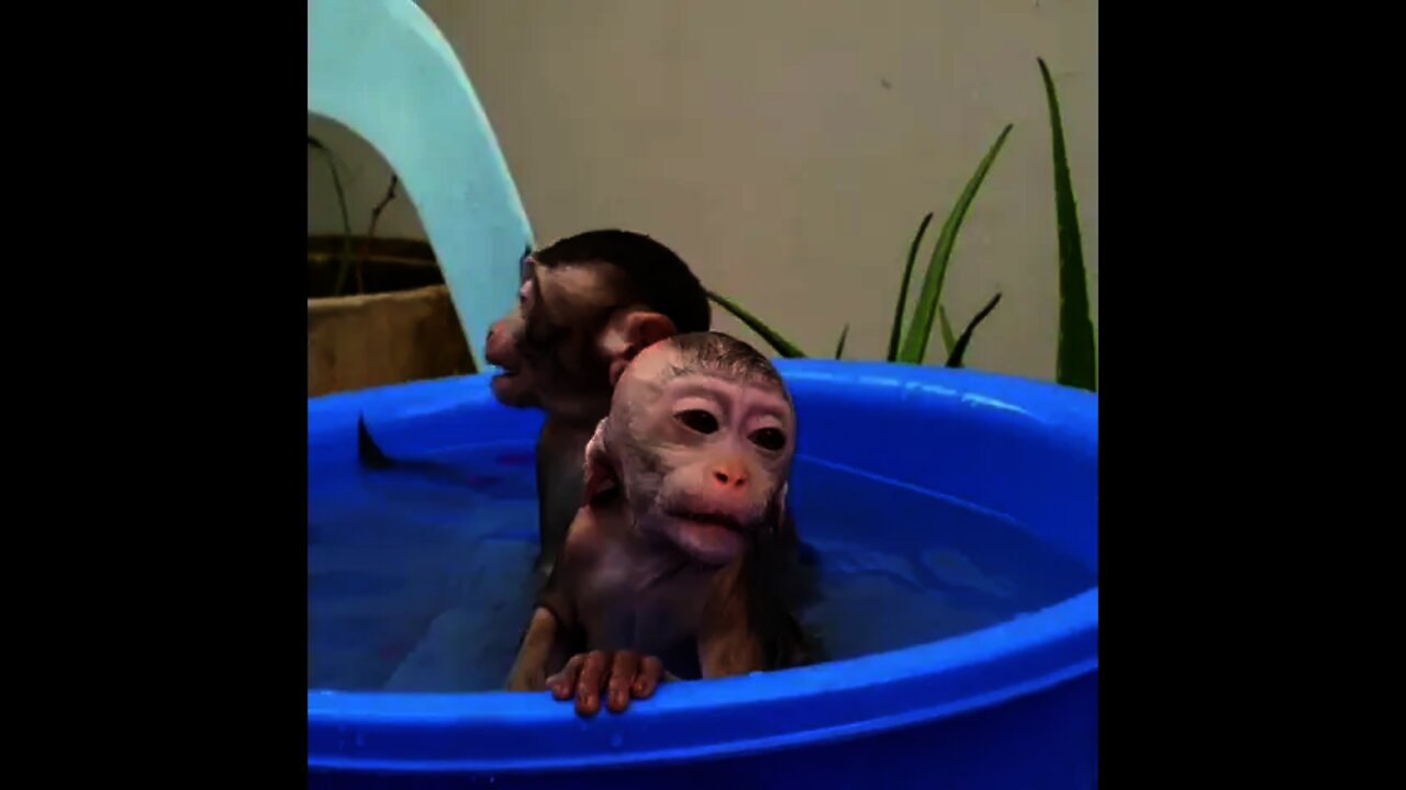 Fat Boy Mab And Little Boy Bobo Takes A Bath In The Same Time