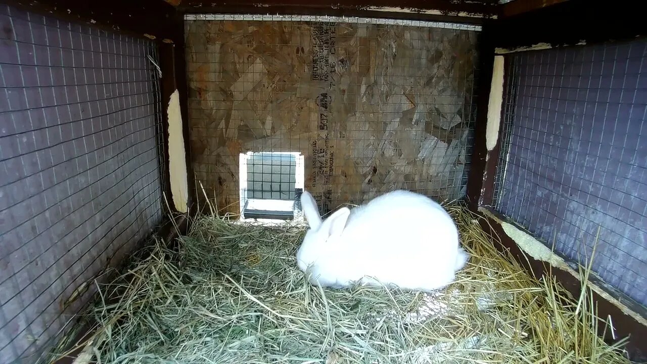 I dont know what's going on there