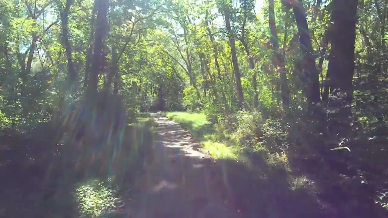 Corporate Woods Bridge & Trail Walk