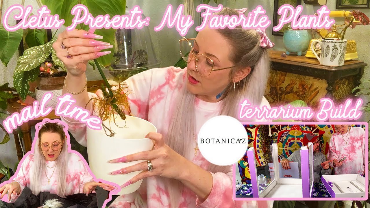 My Favorite House Plants (Husband Voiceover), Botanicaz Plant Terrarium & Unboxing Stuff