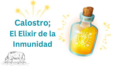 Calostro; ¡El Elixir de la Inmunidad! 🌟🌟🌟