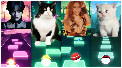 WEDNESDAY DANCE with CAT VS SHAKIRA DANCE with CAT | Tiles Hop: EDM Rush!