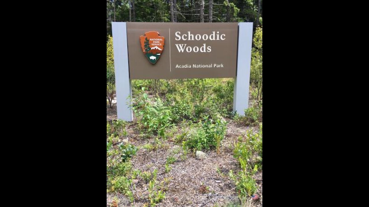 Schoodic Woods Campground in Acadia National Park