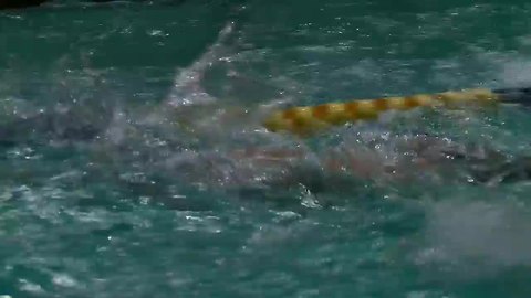 Canisius' Jake Ruffolo qualifies for states in two events