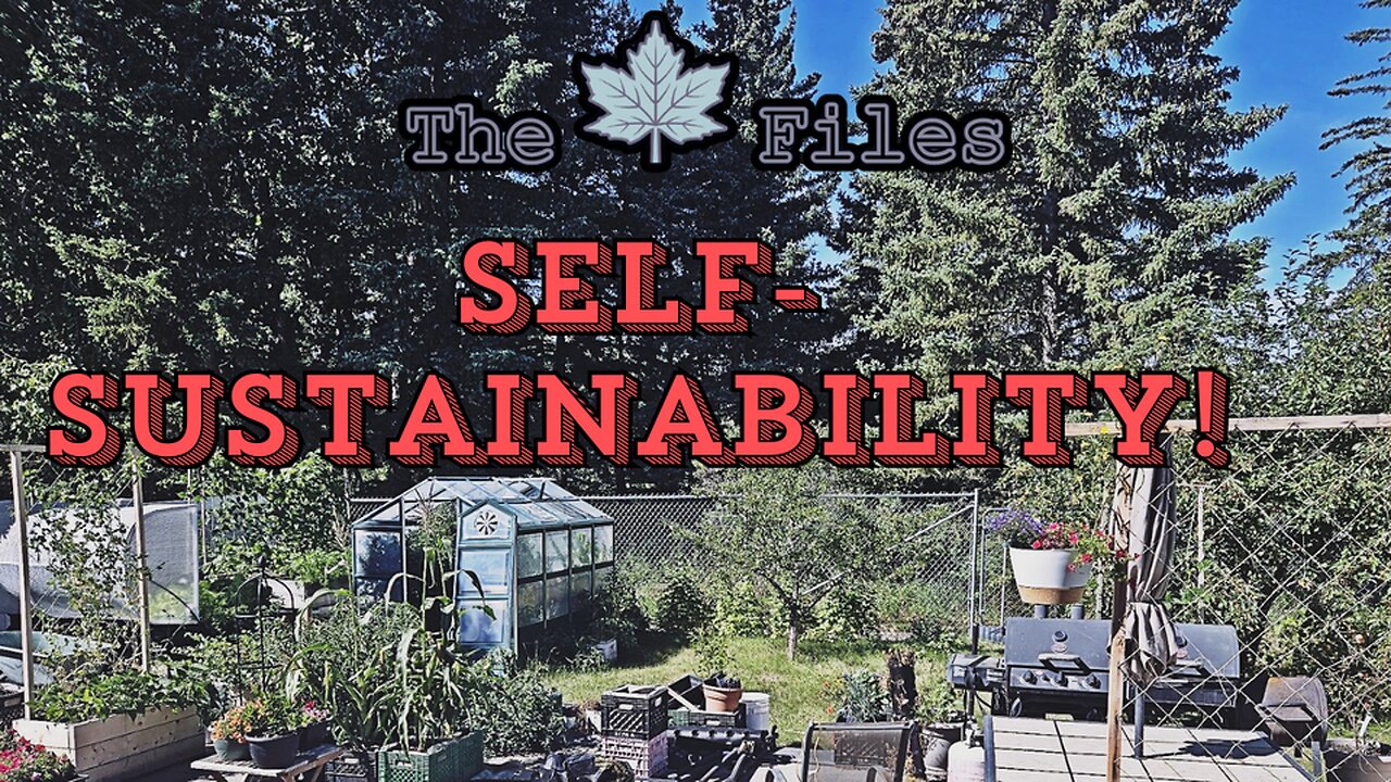 The 🍁Maple🍁 Files: Episode 5 - Self-Sustainability!