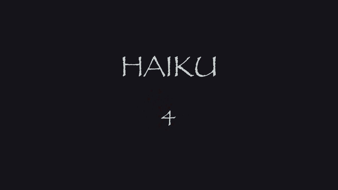 HAIKU 4