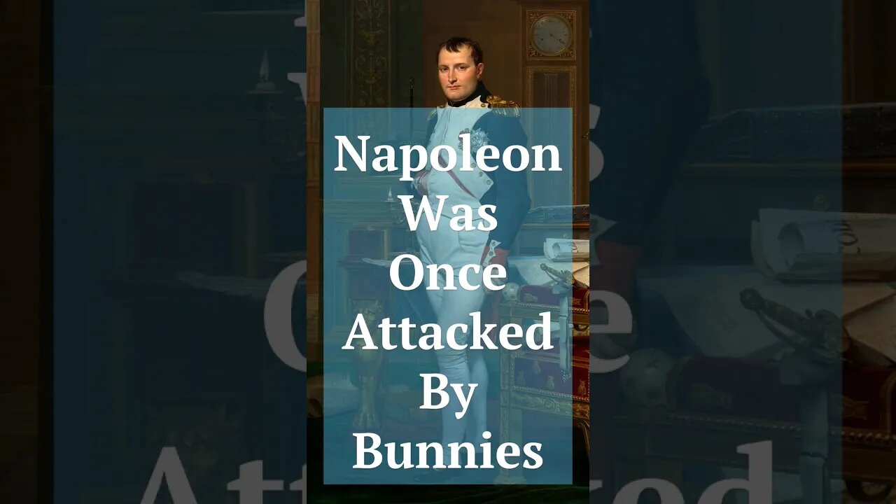 Napoleon Remix 🐇#smh