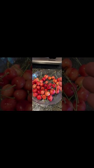 Did my experiment work to preserve fruit/cherries 🍒? Vacuum sealer sucking oxygen out to keep fresh