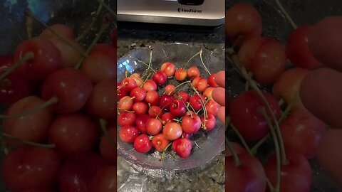 Did my experiment work to preserve fruit/cherries 🍒? Vacuum sealer sucking oxygen out to keep fresh