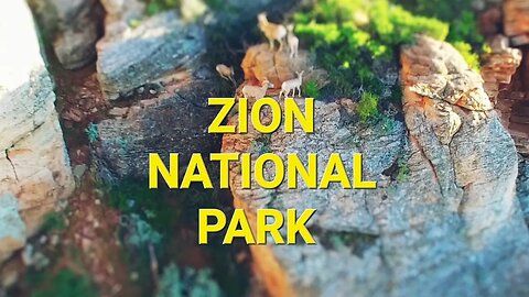 In & around Zion National Park [Smol Planet]