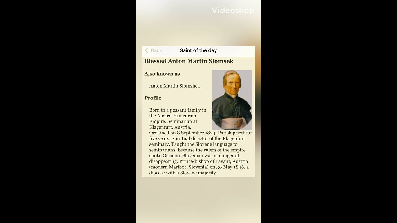 Saint of the Day - Blessed Anton Martin Slomsek